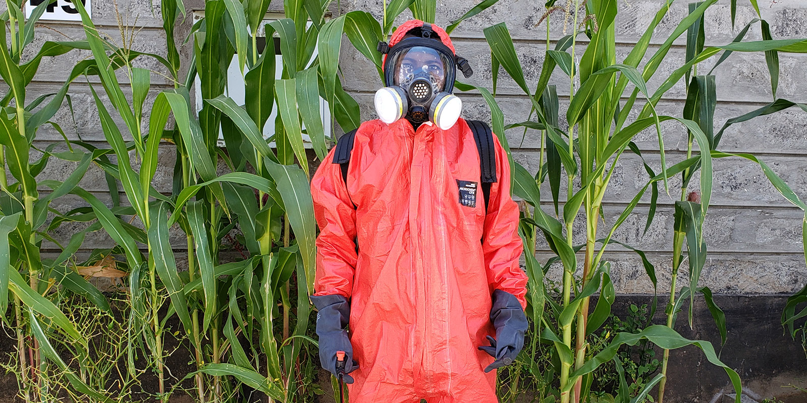 Farmers need to use appropriate personal protective equipment (PPE) during all stages of pesticide handling to ensure their overall health and safety.