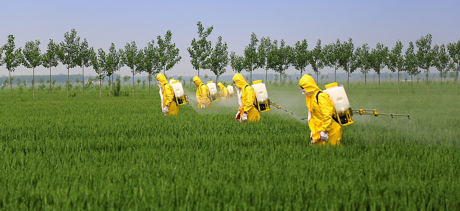 To use pesticides and other agro-chemicals safely, users must first read, understand and comply with the product labels.